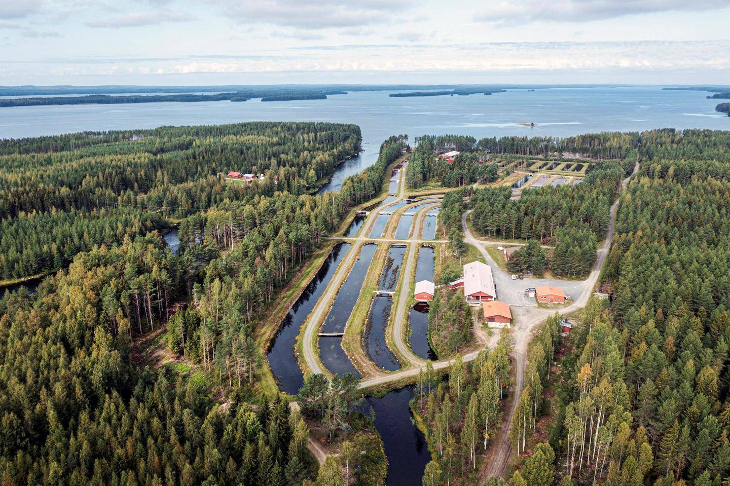 Nutrient-recycling inland aquaculture
